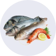 Frozen Fish